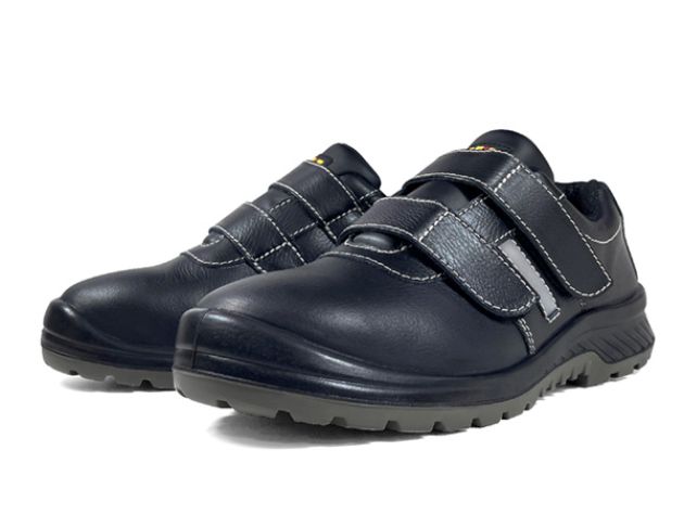 Shimmer 微光 (SR-SBP)